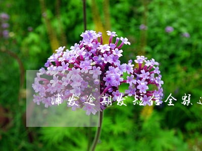 浦发逾期发短信全额追索 浦发逾期发短信全额追索