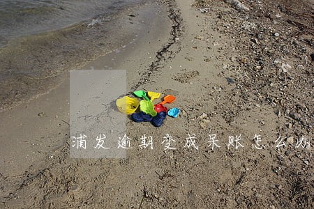 浦发逾期变成呆账怎么办 浦发逾期变成呆账怎么办