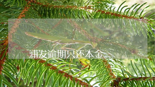 浦发逾期只还本金 浦发逾期只还本金