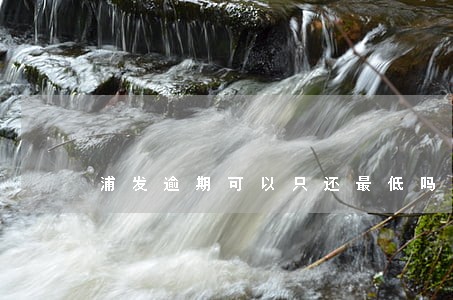 浦发逾期可以只还最低吗