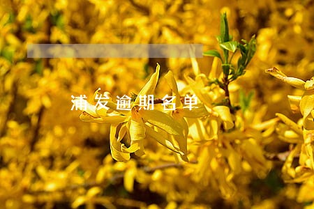 浦发逾期名单 浦发逾期名单
