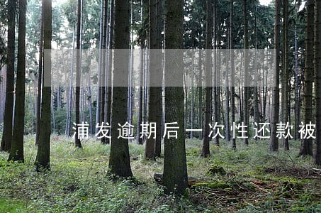 浦发逾期后一次性还款被降额 浦发逾期后一次性还款被降额