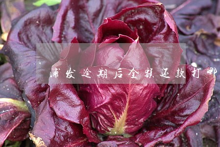 浦发逾期后全额还款打哪的电话 浦发逾期后全额还款打哪的电话