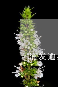 浦发逾期后必须全额还款吗 浦发逾期后必须全额还款吗