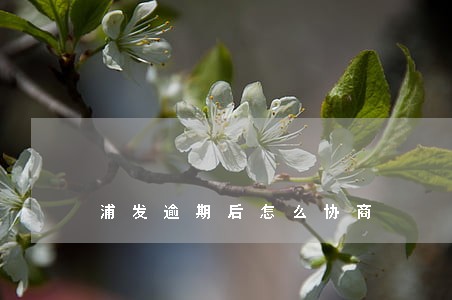 浦发逾期后怎么协商 浦发逾期后怎么协商