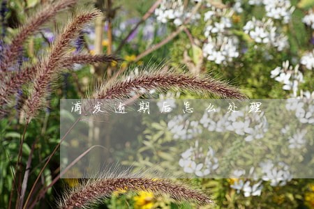 浦发逾期后怎么处理 浦发逾期后怎么处理