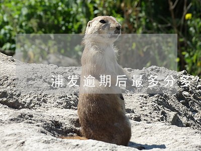 浦发逾期后最多分多少期 浦发逾期后最多分多少期