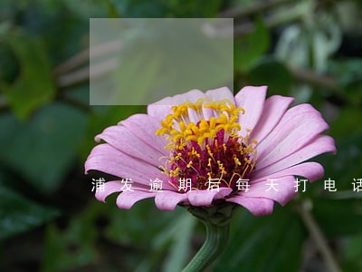 浦发逾期后每天打电话该怎么办 浦发逾期后每天打电话该怎么办