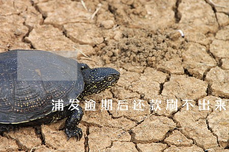 浦发逾期后还款刷不出来 浦发逾期后还款刷不出来