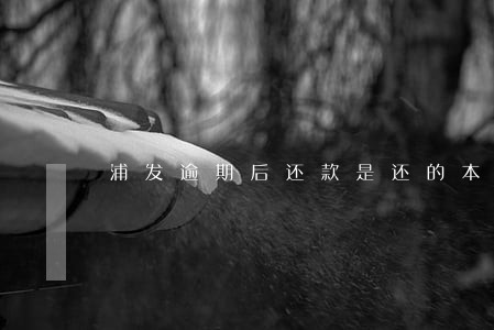 浦发逾期后还款是还的本金吗 浦发逾期后还款是还的本金吗