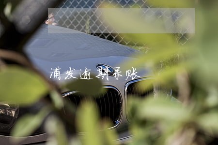 浦发逾期呆账 浦发逾期呆账