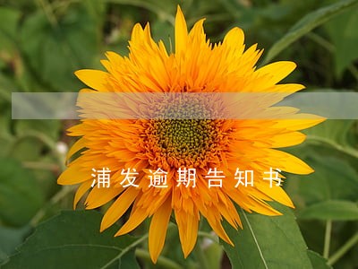 浦发逾期告知书 浦发逾期告知书