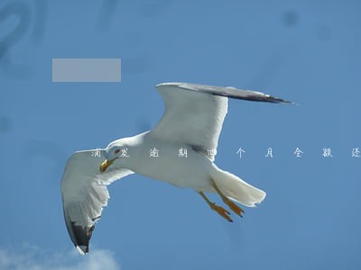 浦发逾期四个月全额还完还能用么 浦发逾期四个月全额还完还能用么