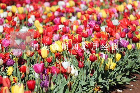 浦发逾期四个月经侦 浦发逾期四个月经侦