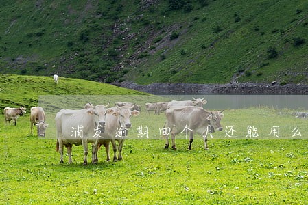 浦发逾期四个月还能用么 浦发逾期四个月还能用么