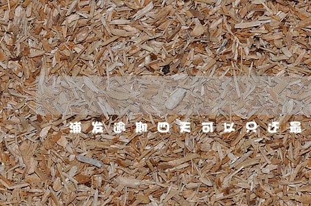 浦发逾期四天可以只还最低吗 浦发逾期四天可以只还最低吗