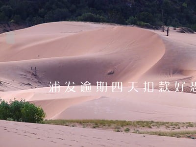 浦发逾期四天扣款好恐怖