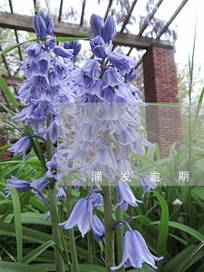 浦发逾期四天算逾期吗 浦发逾期四天算逾期吗
