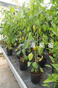 浦发逾期外派人员要求上门 浦发逾期外派人员要求上门