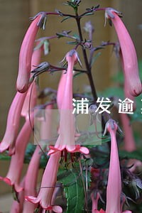 浦发逾期多久上门催债 浦发逾期多久上门催债