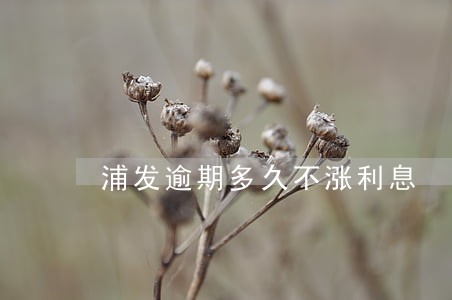 浦发逾期多久不涨利息 浦发逾期多久不涨利息