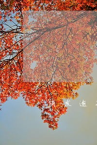 浦发逾期多久会上门催收6 浦发逾期多久会上门催收6