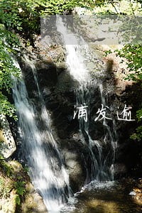 浦发逾期多久会冻结卡 浦发逾期多久会冻结卡