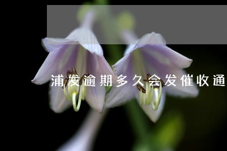 浦发逾期多久会发催收通知书 浦发逾期多久会发催收通知书