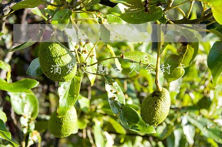 浦发逾期多久会封卡 浦发逾期多久会封卡