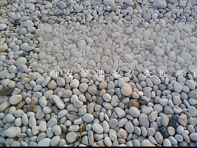 浦发逾期多久会联系家人 浦发逾期多久会联系家人