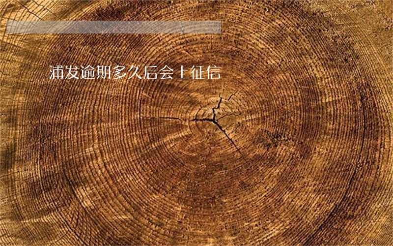 浦发逾期多久后会上征信 浦发逾期多久后会上征信