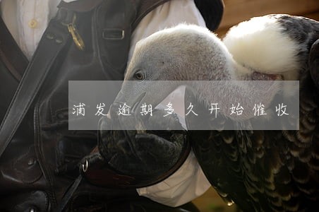 浦发逾期多久开始催收 浦发逾期多久开始催收