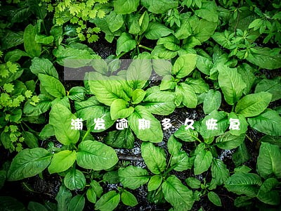 浦发逾期多久恢复 浦发逾期多久恢复