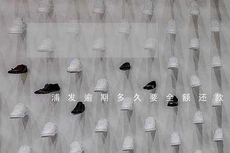 浦发逾期多久要全额还款 浦发逾期多久要全额还款