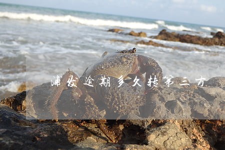 浦发逾期多久转第三方 浦发逾期多久转第三方