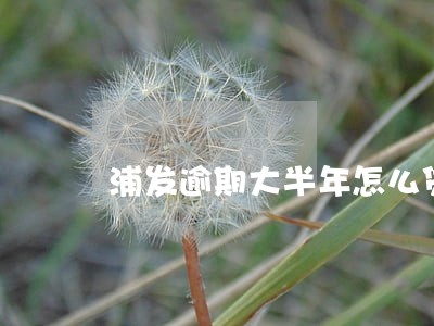 浦发逾期大半年怎么贷款