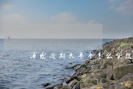 浦发逾期大半年怎么贷款利率 浦发逾期大半年怎么贷款利率