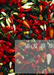 浦发逾期天数怎么计算 浦发逾期天数怎么计算