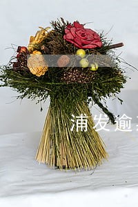 浦发逾期威胁人怎么投诉