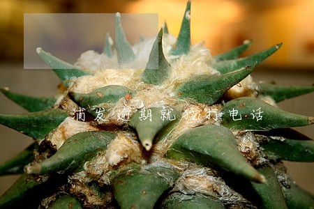 浦发逾期就猛打电话 浦发逾期就猛打电话