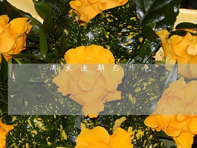 浦发逾期已外包 浦发逾期已外包