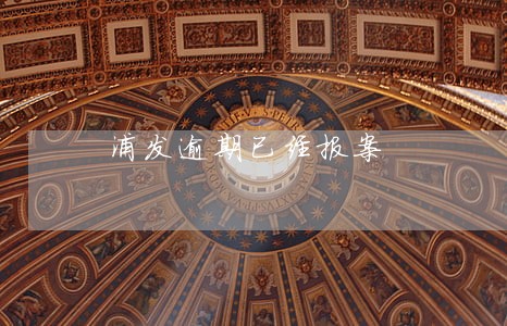 浦发逾期已经报案