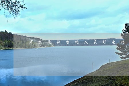 浦发逾期当地人员打电话