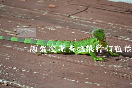 浦发逾期当地银行打电话 浦发逾期当地银行打电话