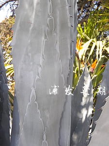 浦发逾期影响借呗 浦发逾期影响借呗