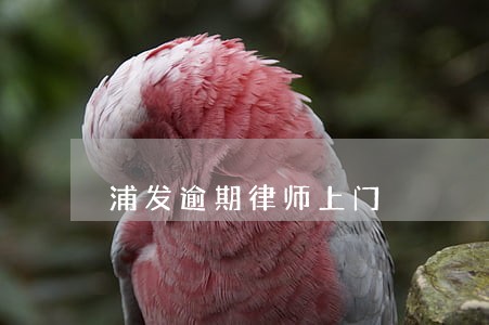 浦发逾期律师上门 浦发逾期律师上门