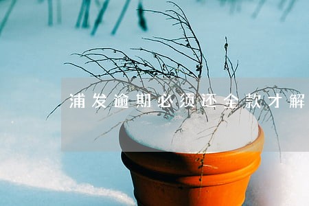 浦发逾期必须还全款才解冻 浦发逾期必须还全款才解冻