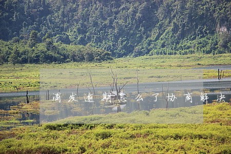 浦发逾期怎么了协商解决 浦发逾期怎么了协商解决