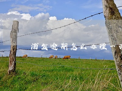 浦发逾期怎么办理一次性还清 浦发逾期怎么办理一次性还清