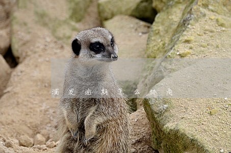 浦发逾期怎么协商 浦发逾期怎么协商